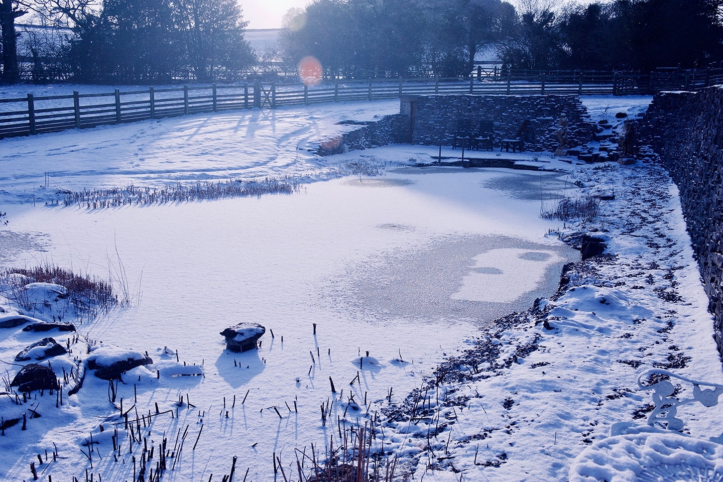 Gartenart | Portfolio | Swimming ponds in winter