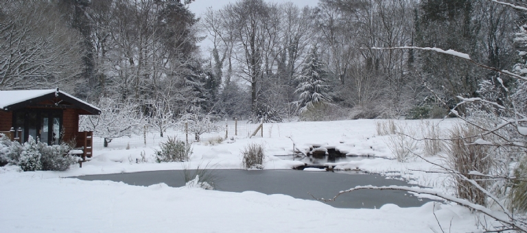 Gartenart | What happens in the winter?