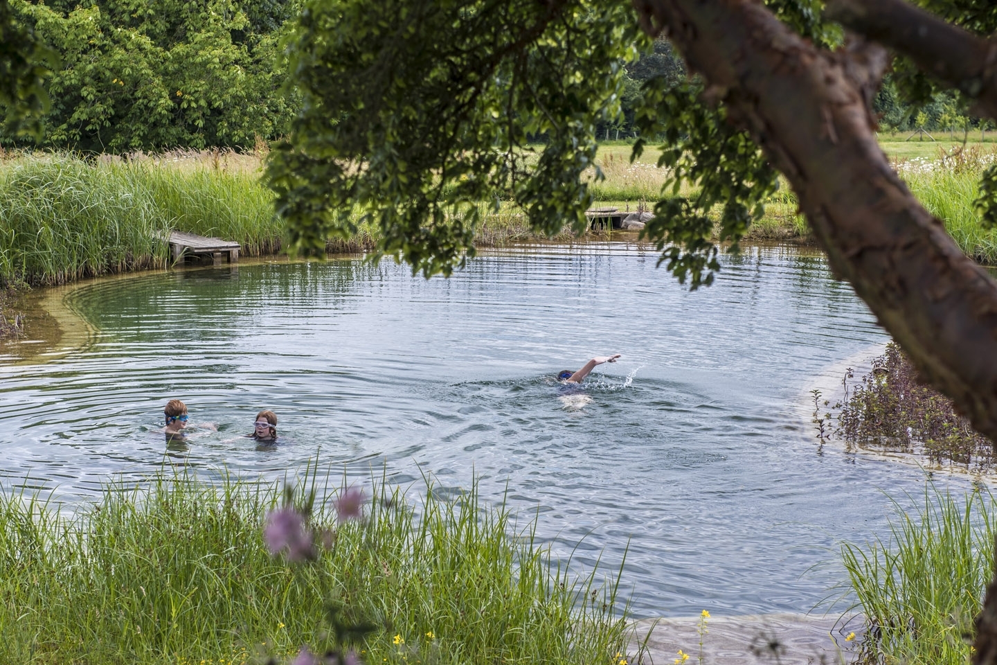 Gartenart | Portfolio | Swimming Pond, Kent