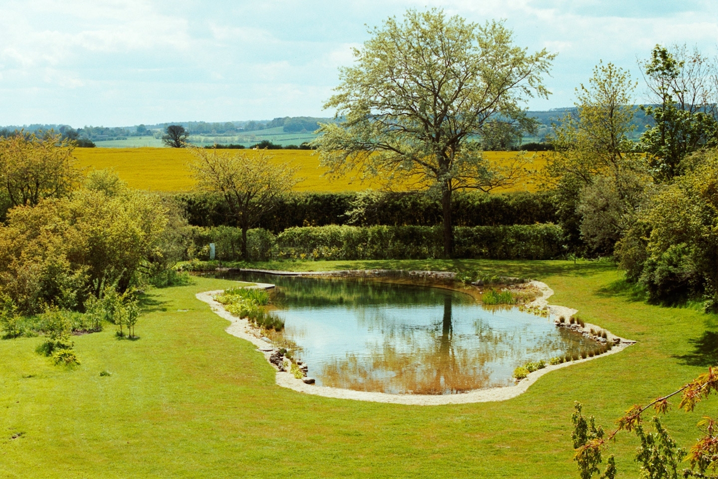 Gartenart | Portfolio | Swimming pond conversion, Bedfordshire