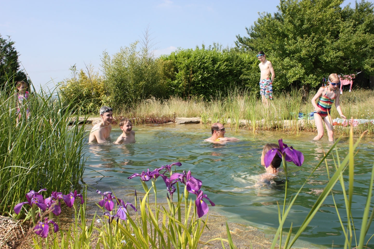 Gartenart | Portfolio | Swimming pond, Buckinghamshire