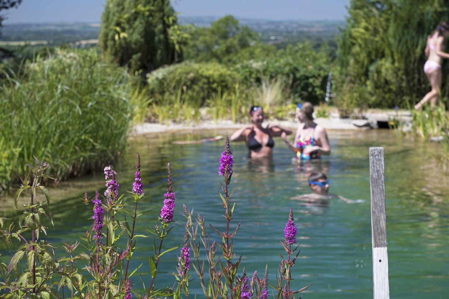 Gartenart | Portfolio | Swimming pond, Buckinghamshire