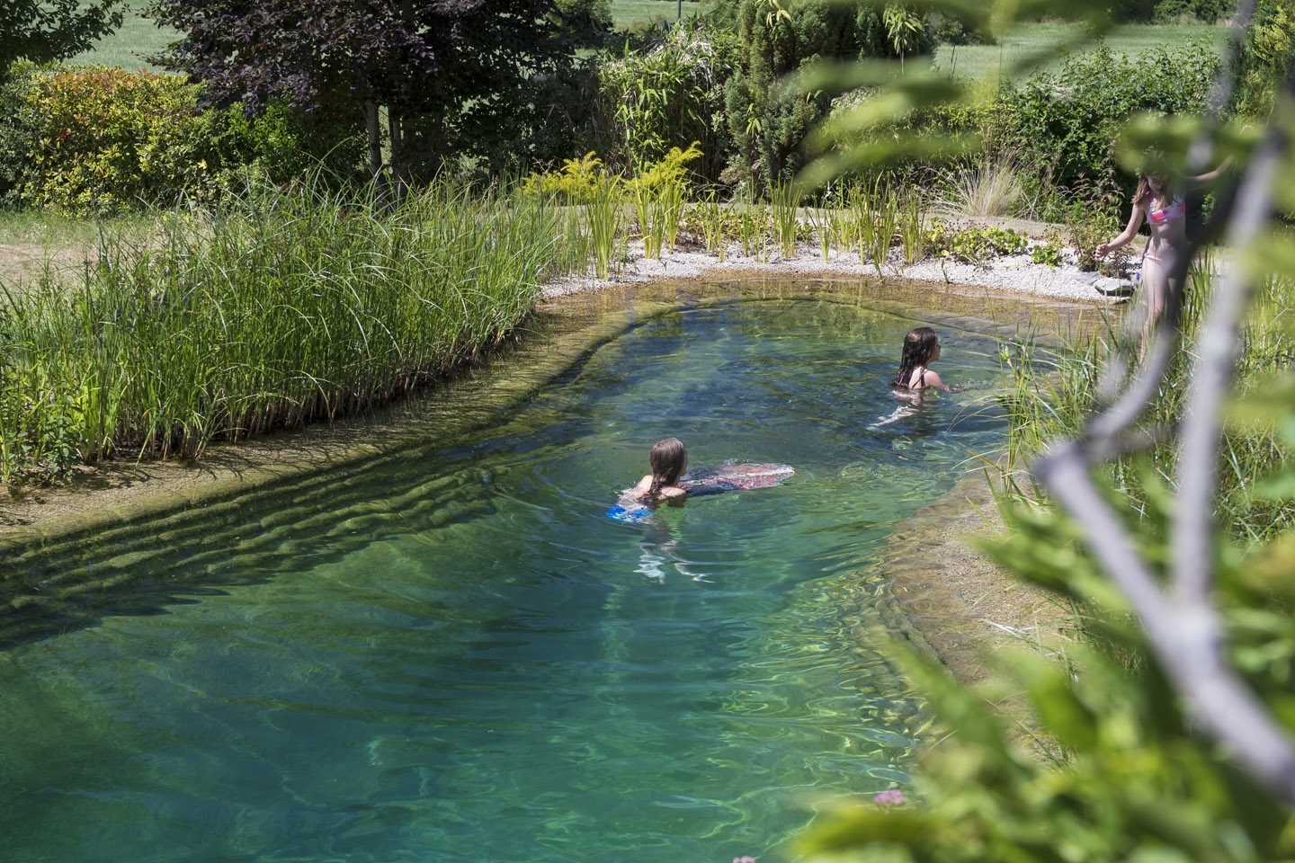 Gartenart | Portfolio | Swimming pond, Buckinghamshire