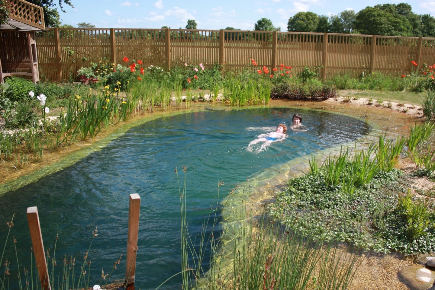 Gartenart | Portfolio | Swimming pond, Cambridgeshire