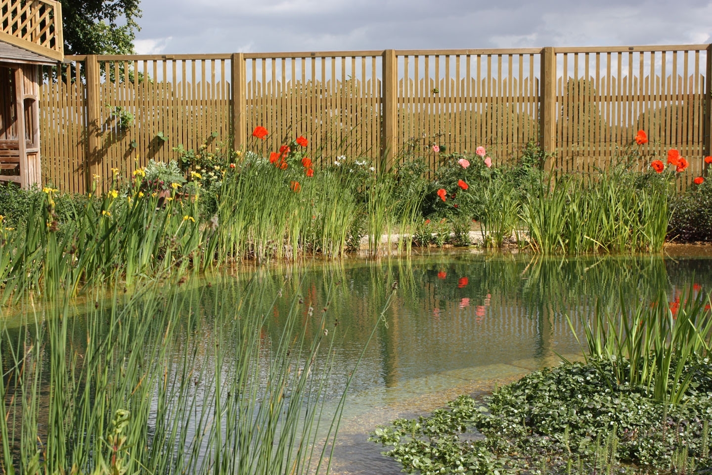 Gartenart | Portfolio | Swimming pond, Cambridgeshire