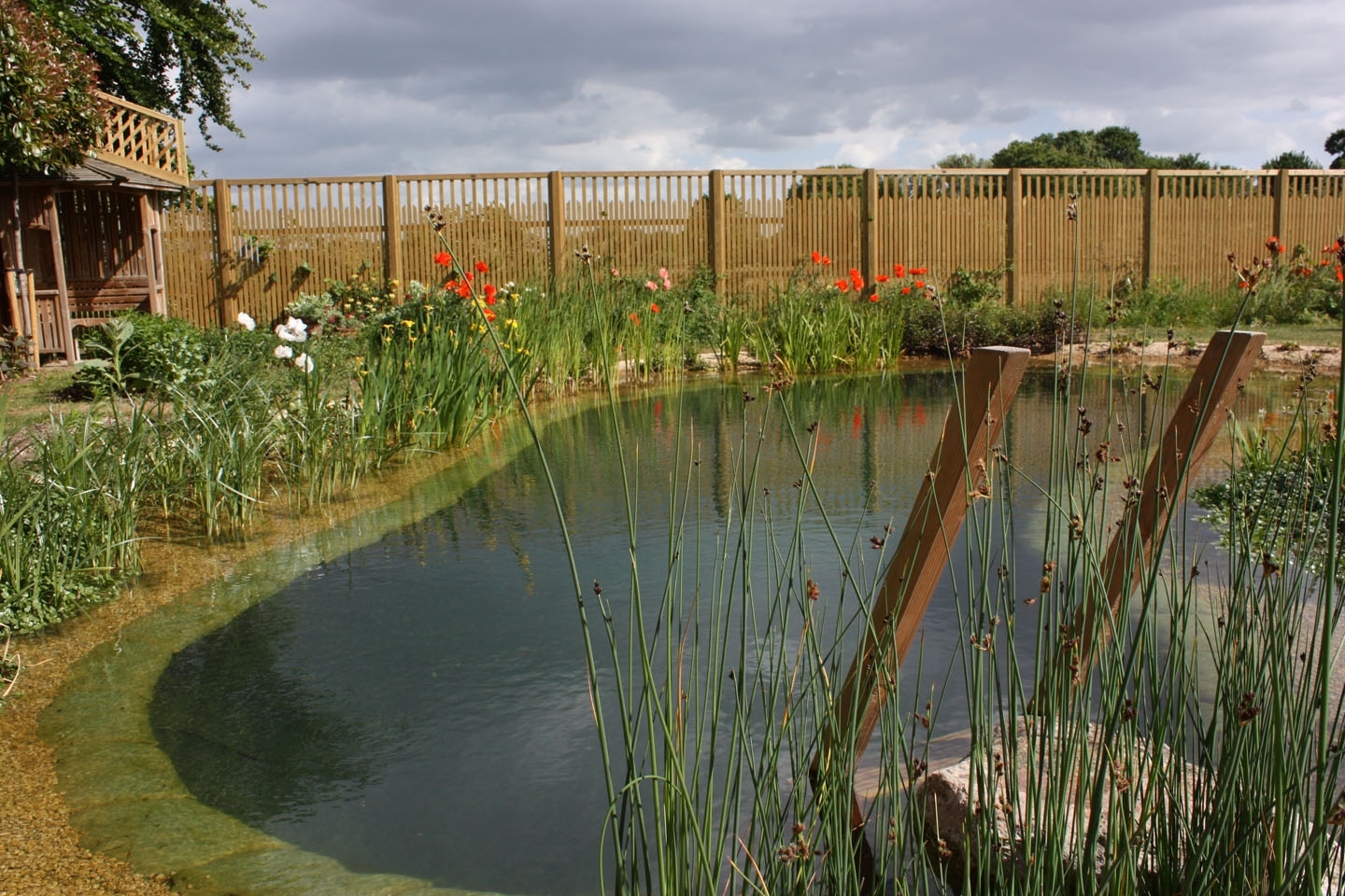 Gartenart | Portfolio | Swimming pond, Cambridgeshire