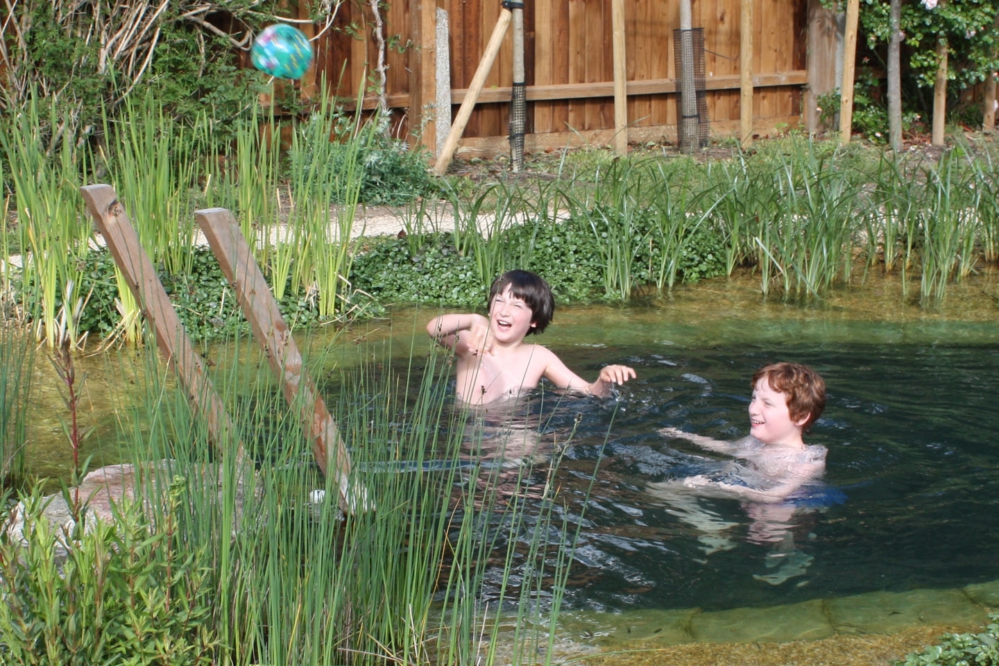 Gartenart | Portfolio | Swimming pond, Cambridgeshire