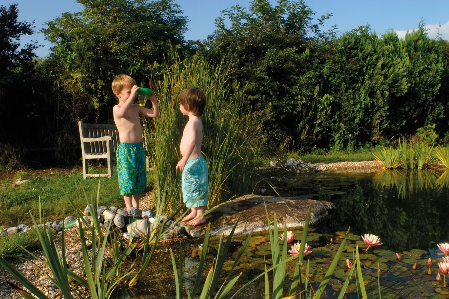 Gartenart | Portfolio | Swimming pond, Oxfordshire