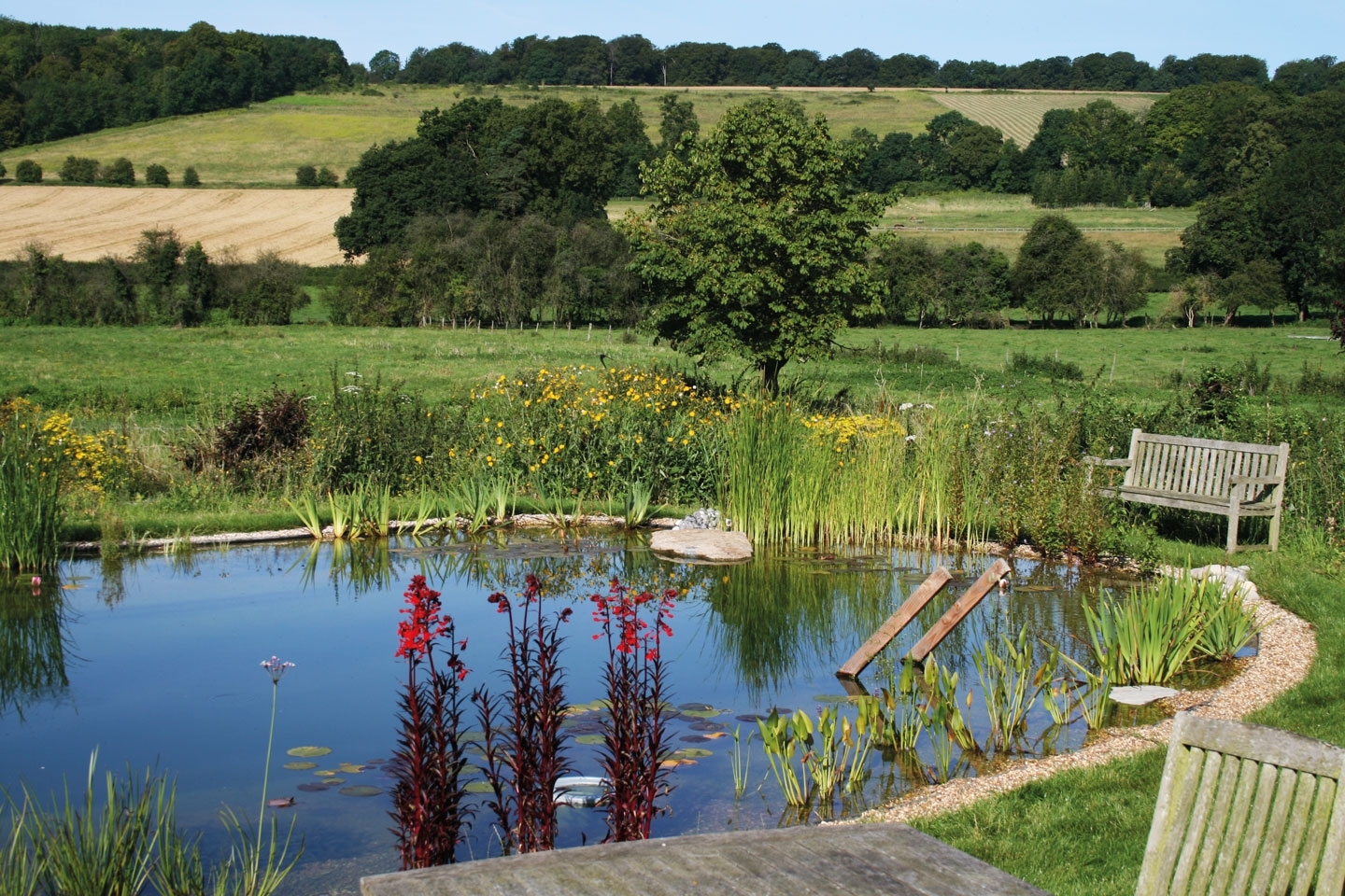 Gartenart | Portfolio | Swimming pond, Oxfordshire