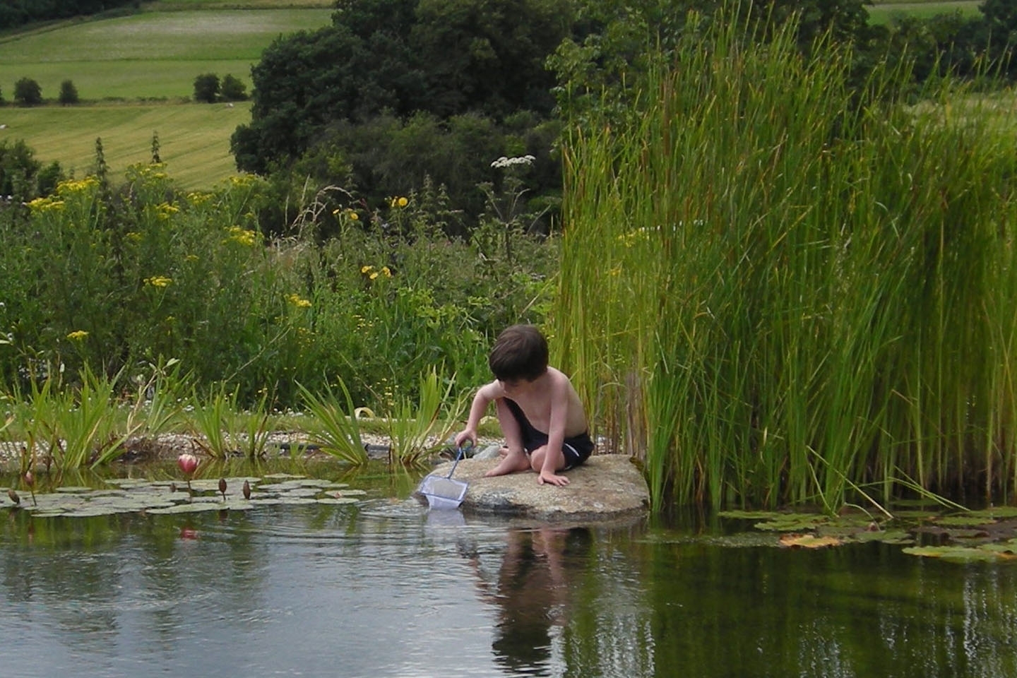 Gartenart | Portfolio | Swimming pond, Oxfordshire