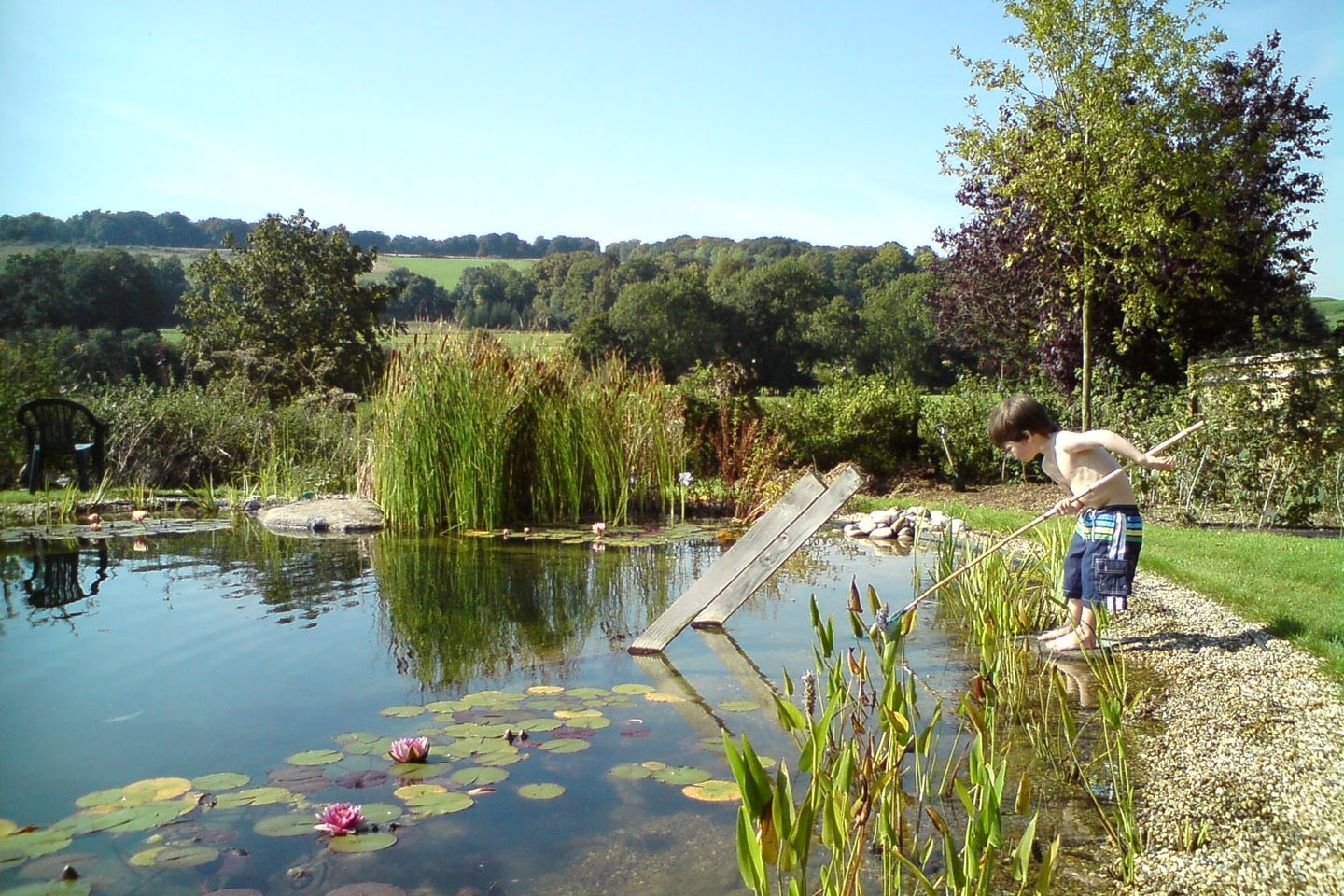 Gartenart | Portfolio | Swimming pond, Oxfordshire