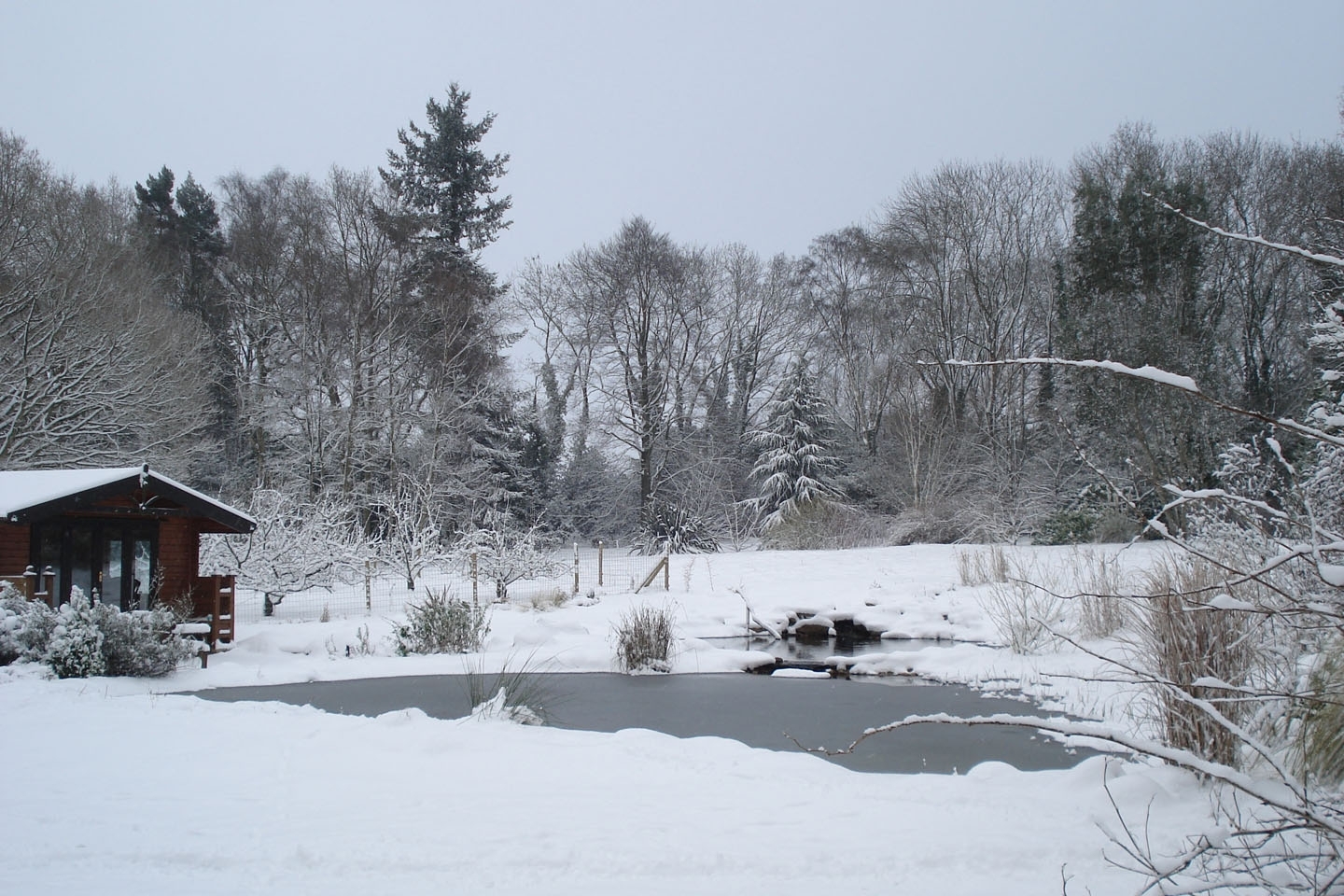 Gartenart | Portfolio | Wendy Bathurst, Hertfordshire