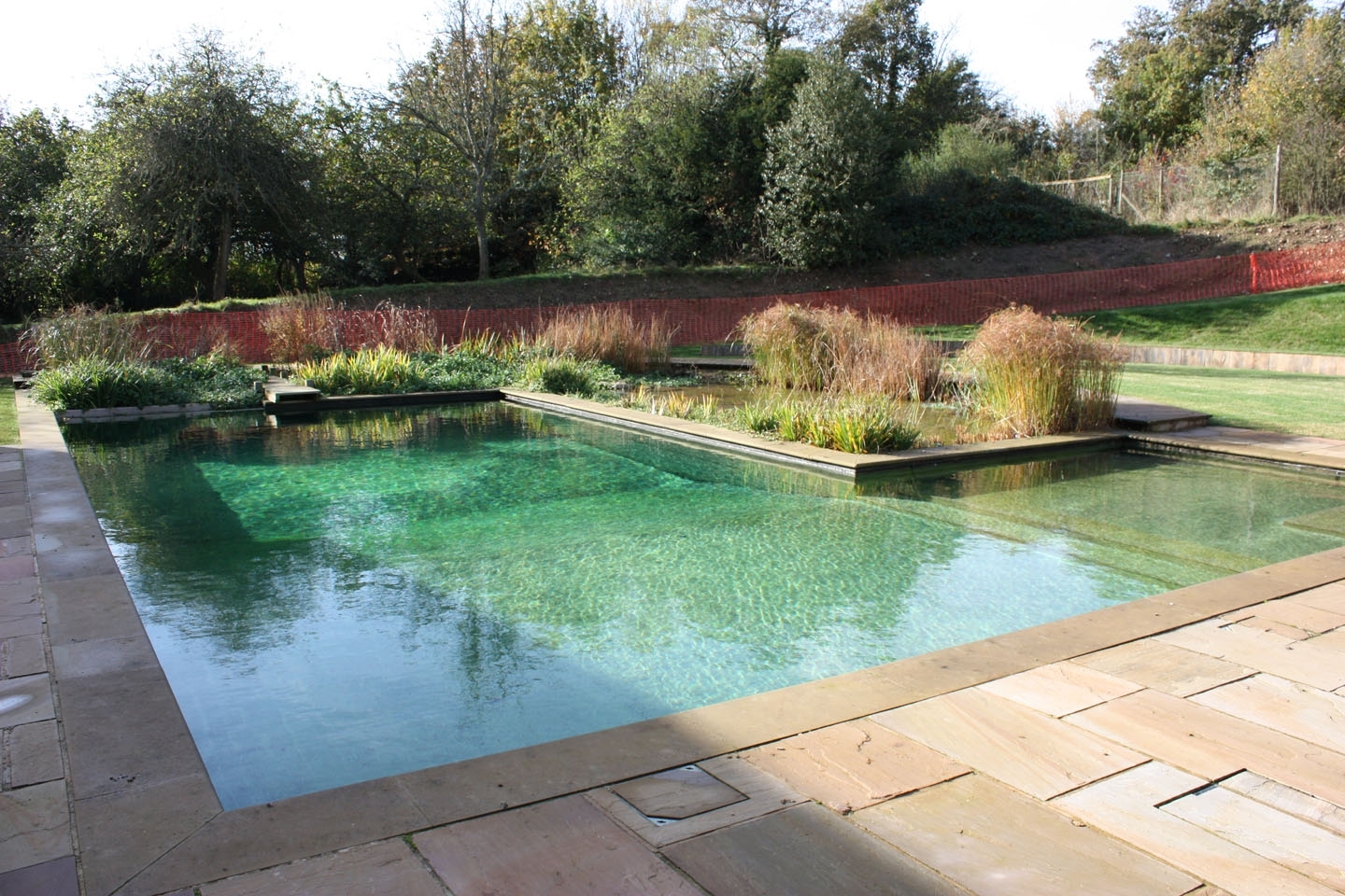 Gartenart | Portfolio | Natural Swimming Pool, Berkshire