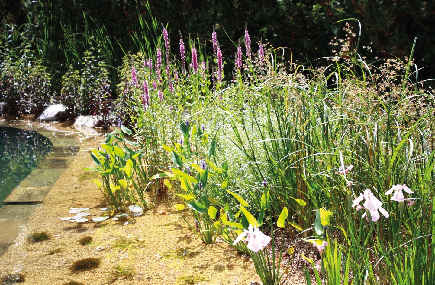 Gartenart | Portfolio | Jeff and Fay Roberts, Hertfordshire