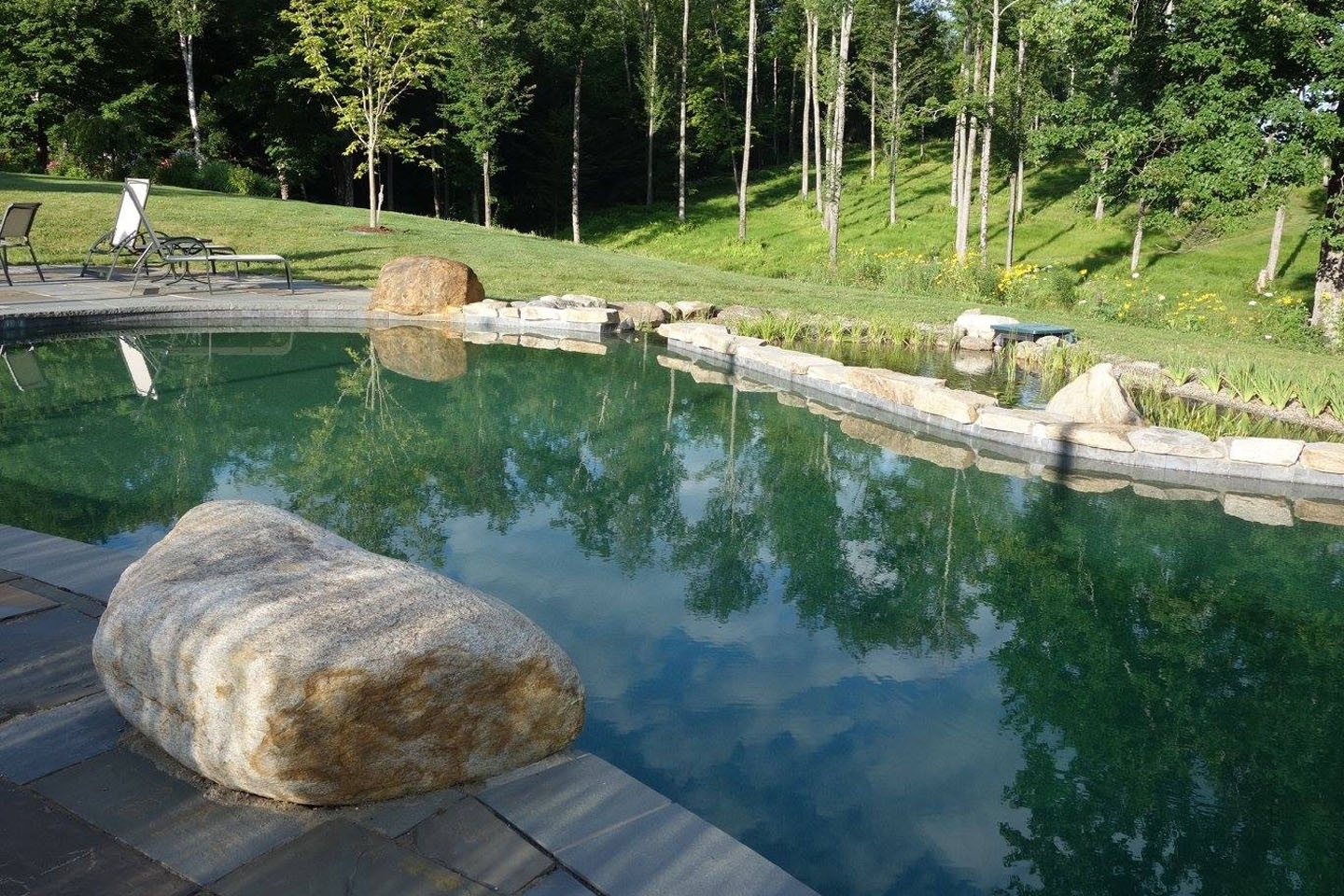 swimming ponds and natural swimming pools USA