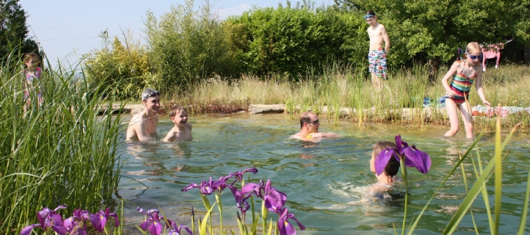 Swimming pond open days and exhibitions
