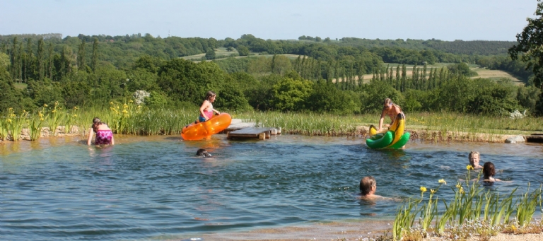 Swimming pond open days and exhibitions