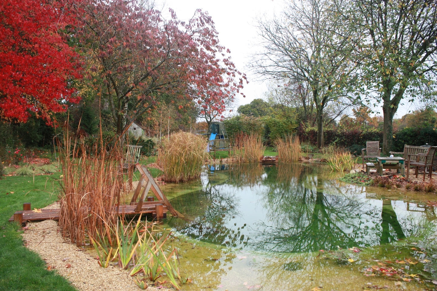 Swimming ponds and natural swimming pools, Hampshire