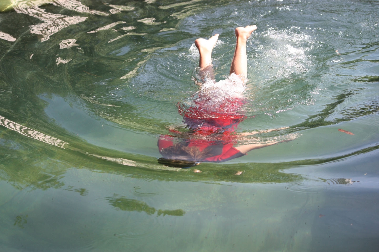 Swimming ponds and natural swimming pools, Hampshire