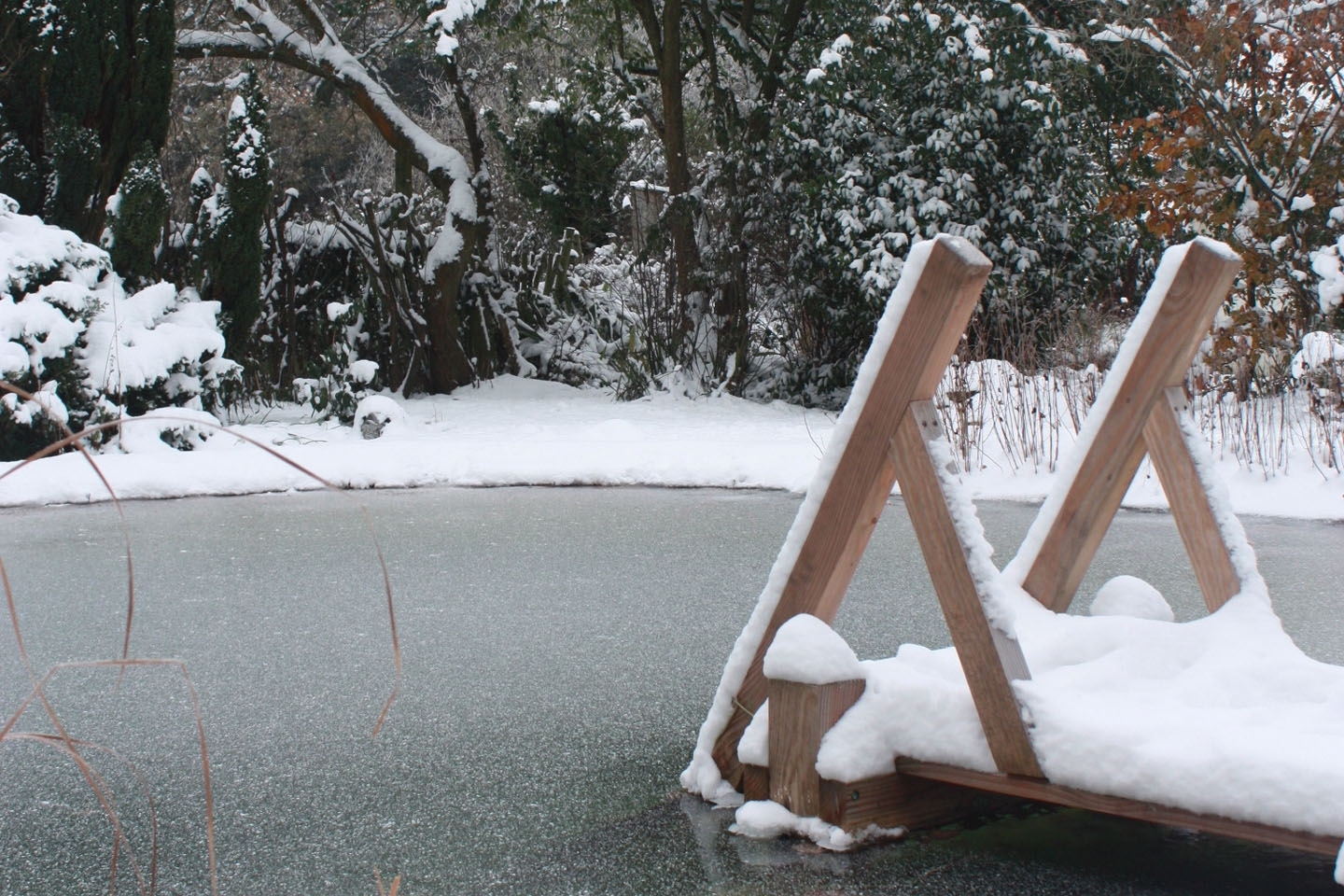 Swimming ponds and natural swimming pools, Hampshire