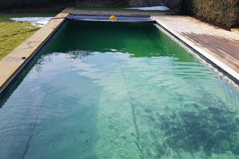 Gartenart | Portfolio | Natural pool, Oxfordshire