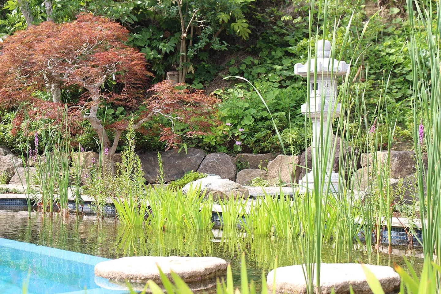 Gartenart | Portfolio | Natural pool, Japan