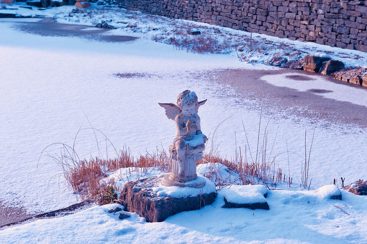 Gartenart | Portfolio | Swimming ponds in winter