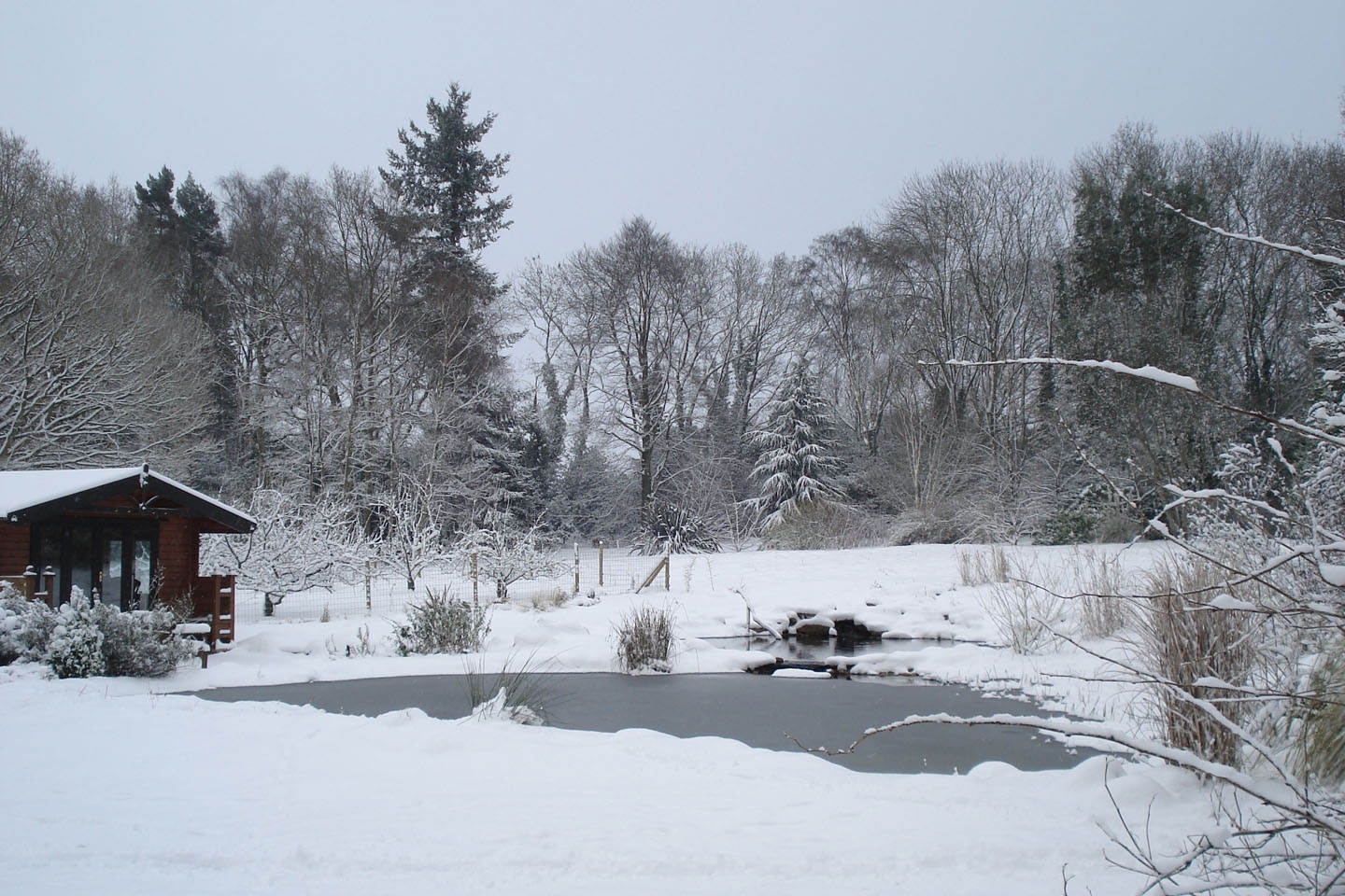Gartenart | Portfolio | Swimming ponds in winter