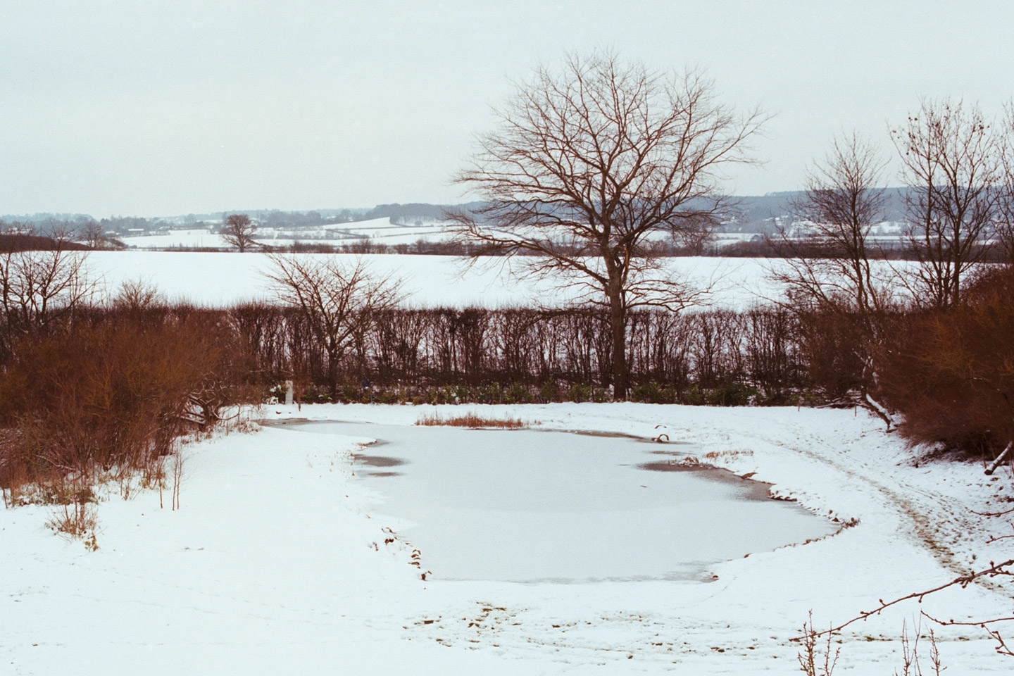 Gartenart | Portfolio | Swimming ponds in winter