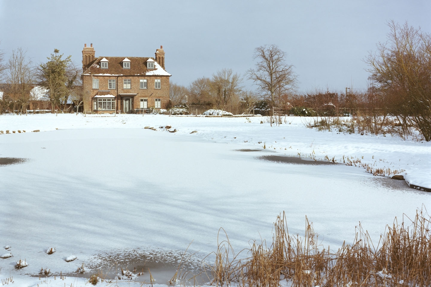 Gartenart | Portfolio | Swimming ponds in winter