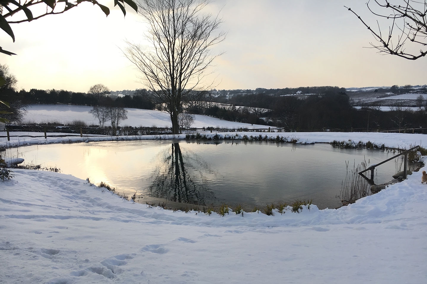 Gartenart | Portfolio | Swimming ponds in winter