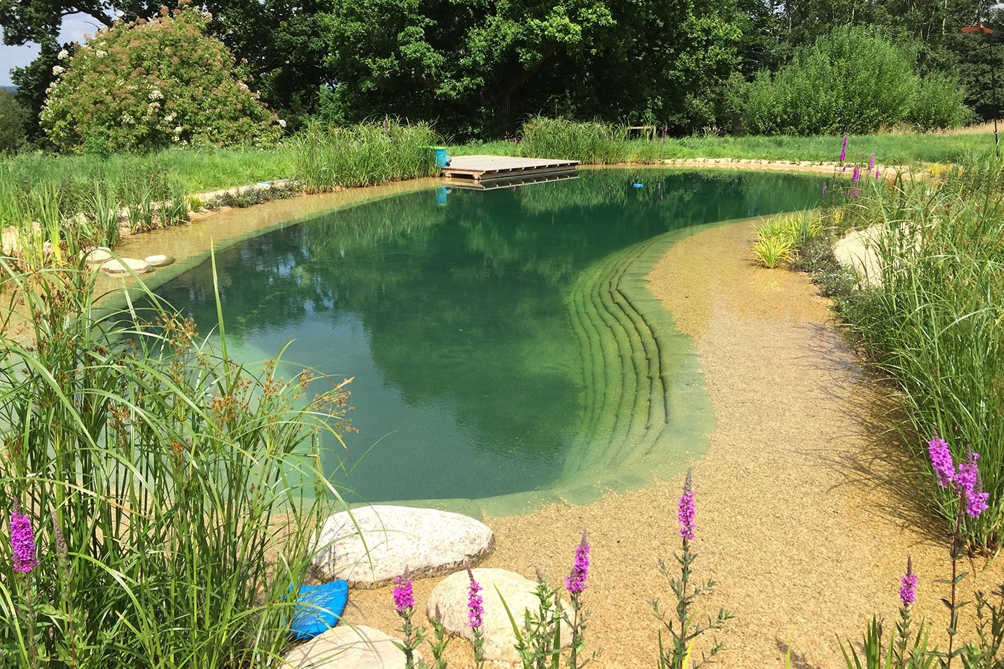 Gartenart | Portfolio | Swimming pond, East Sussex