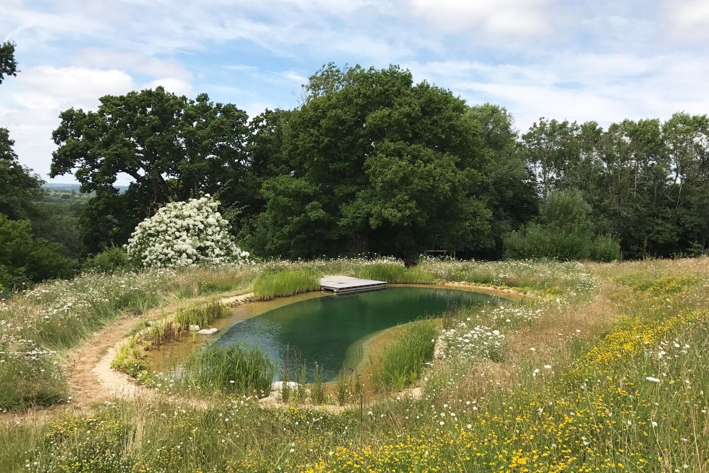 Gartenart | Portfolio | Swimming pond, East Sussex