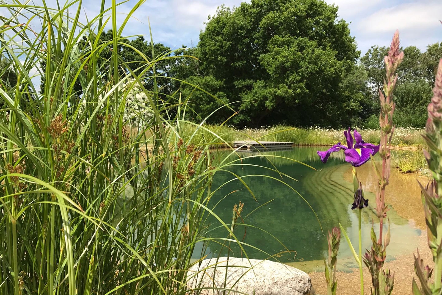 Gartenart | Portfolio | Swimming pond, East Sussex