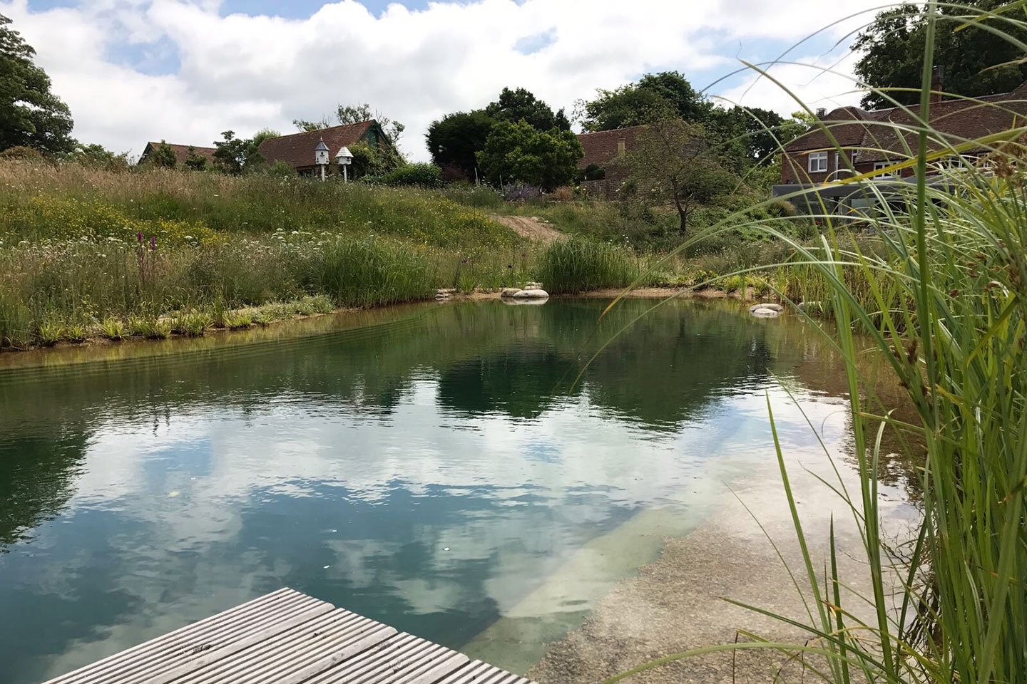 Gartenart | Portfolio | Swimming pond, East Sussex
