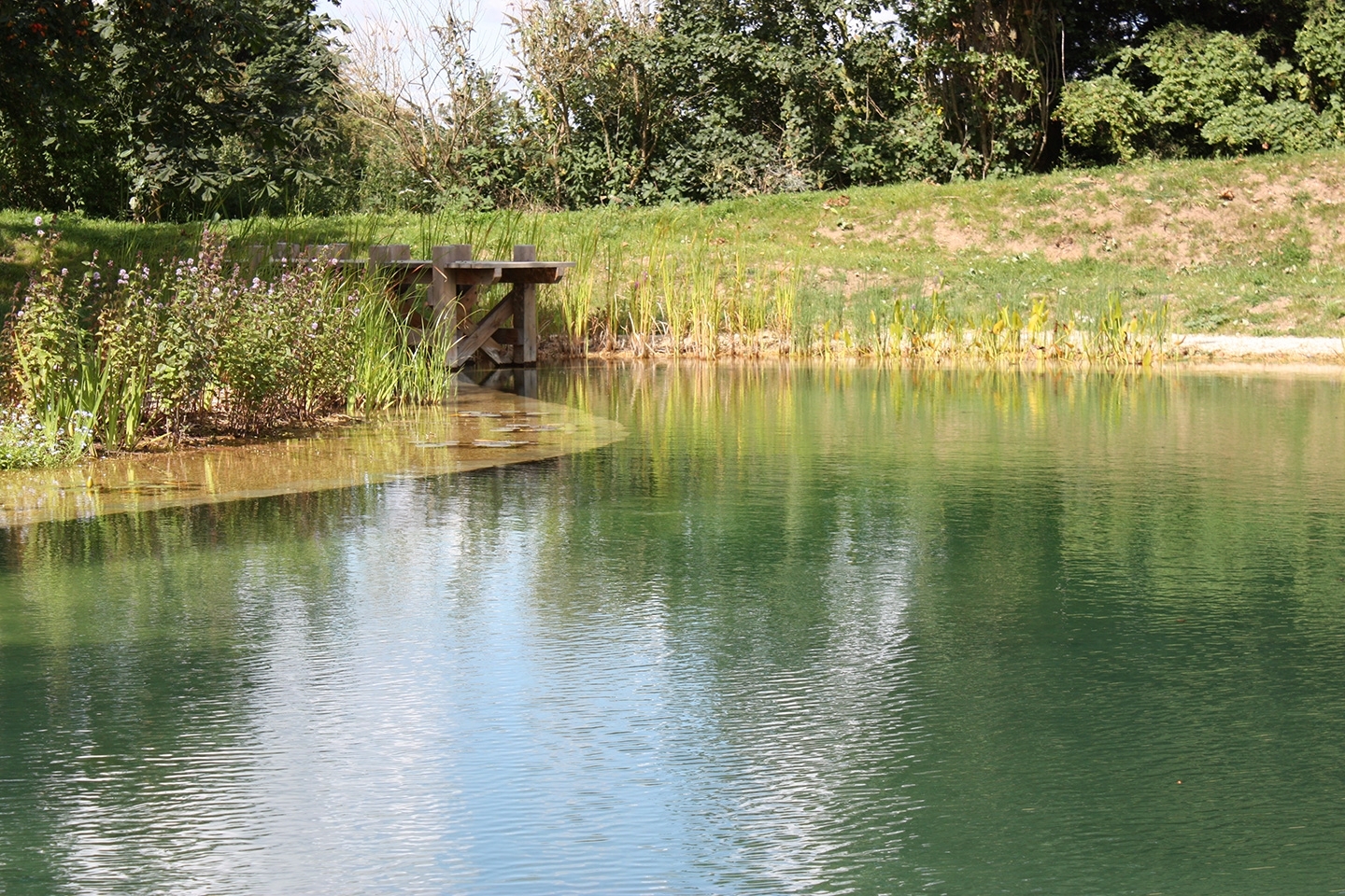 Swimming pond in Suffolk