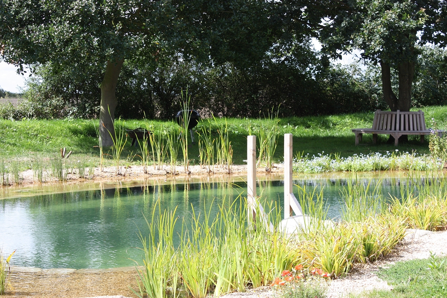 Swimming pond in Suffolk