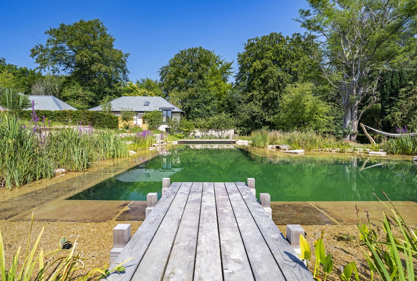 Swimming pond, natural swimming pool, Sussex