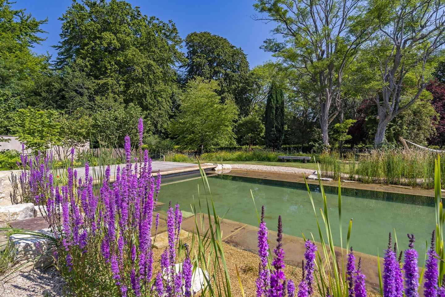 Swimming pond, natural swimming pool, Sussex