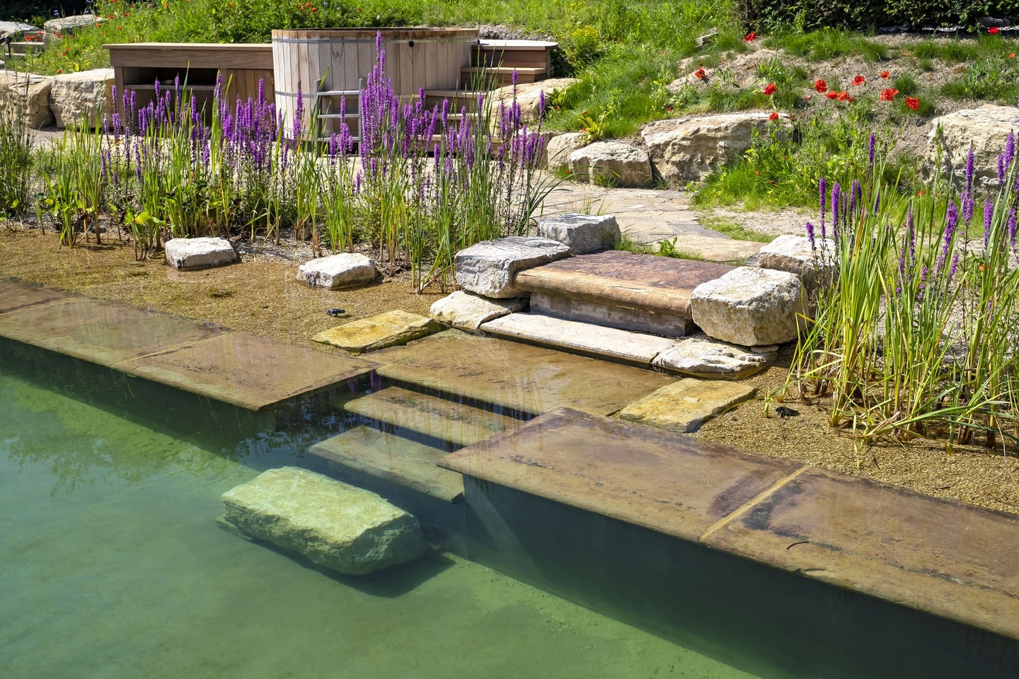 Swimming pond, natural swimming pool, Sussex