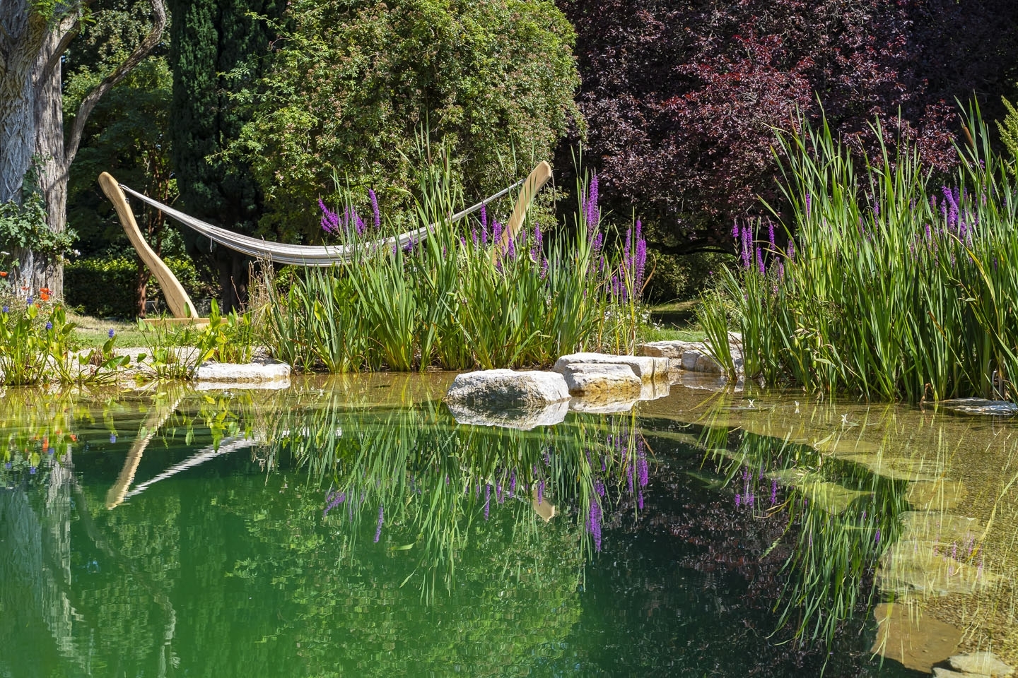 Swimming pond, natural swimming pool, Sussex