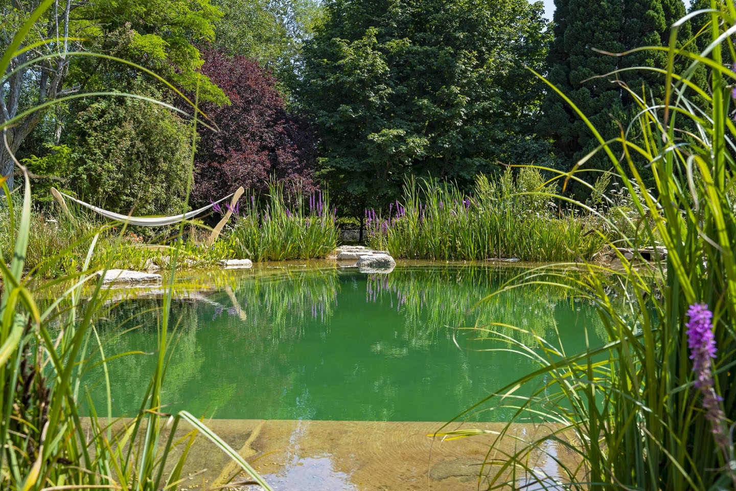 Swimming pond, natural swimming pool, Sussex