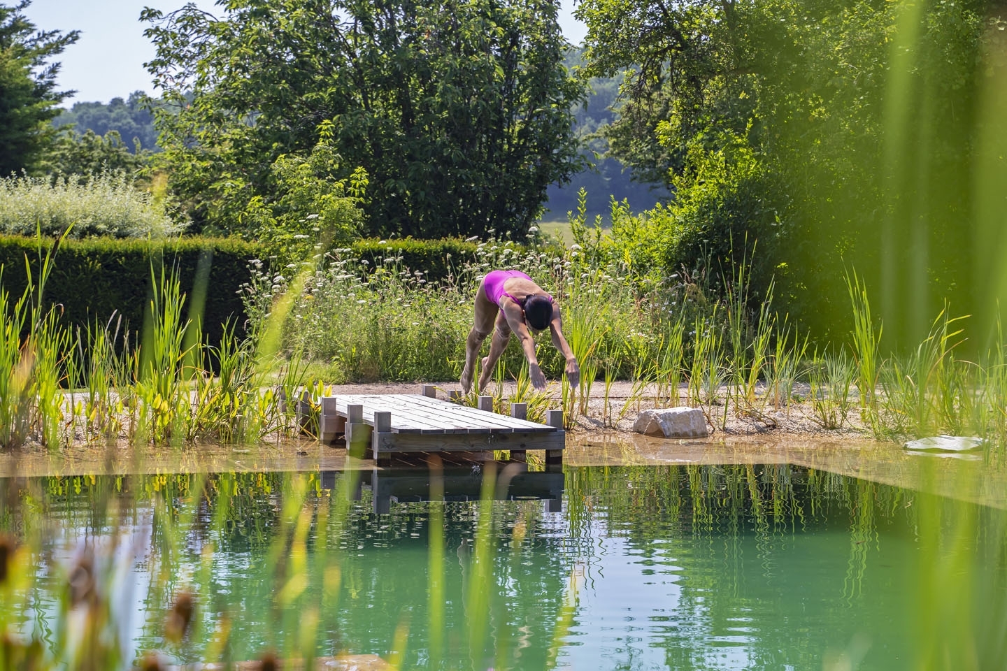 Swimming pond, natural swimming pool, Sussex