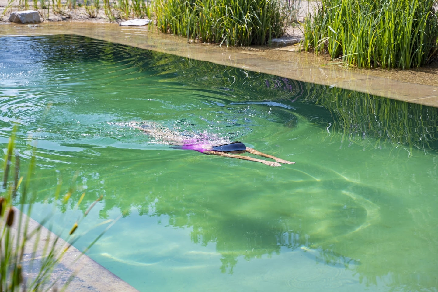 Swimming pond, natural swimming pool, Sussex