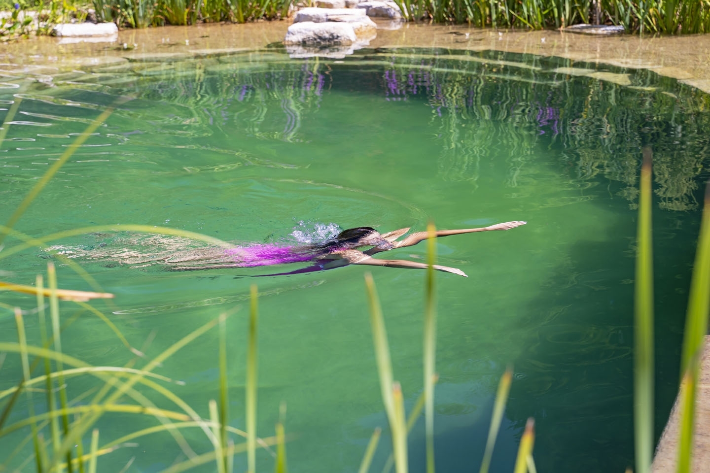 Swimming pond, natural swimming pool, Sussex